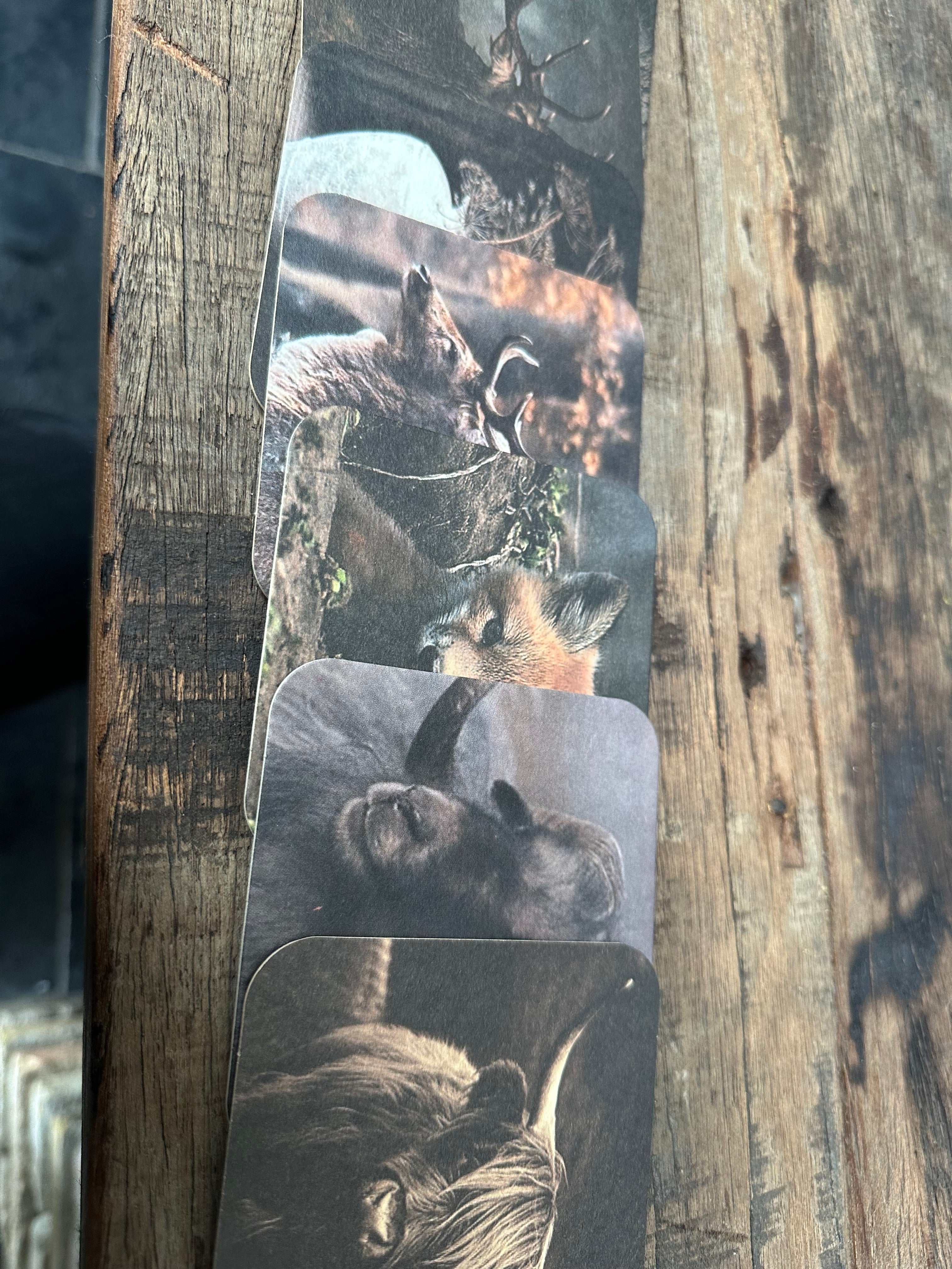 Set onderzetters 20stuks