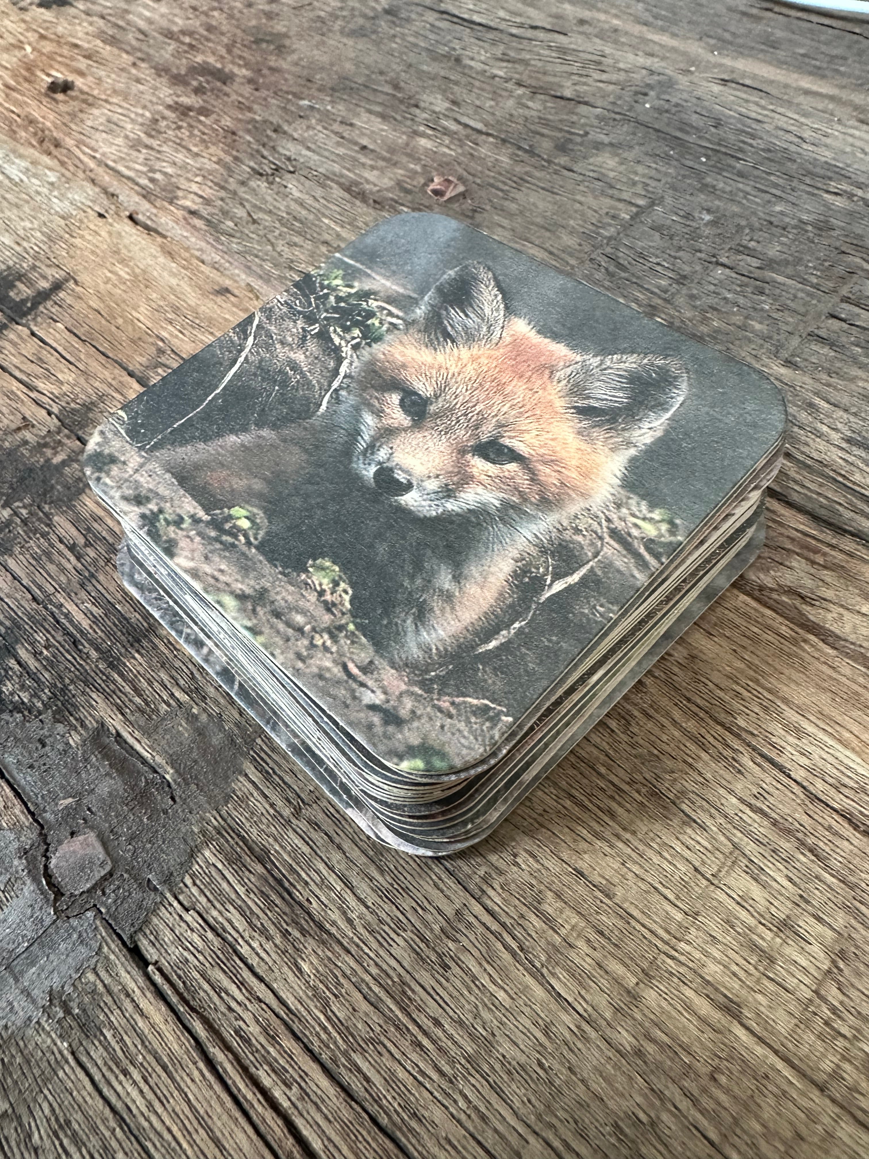 Set onderzetters 20stuks