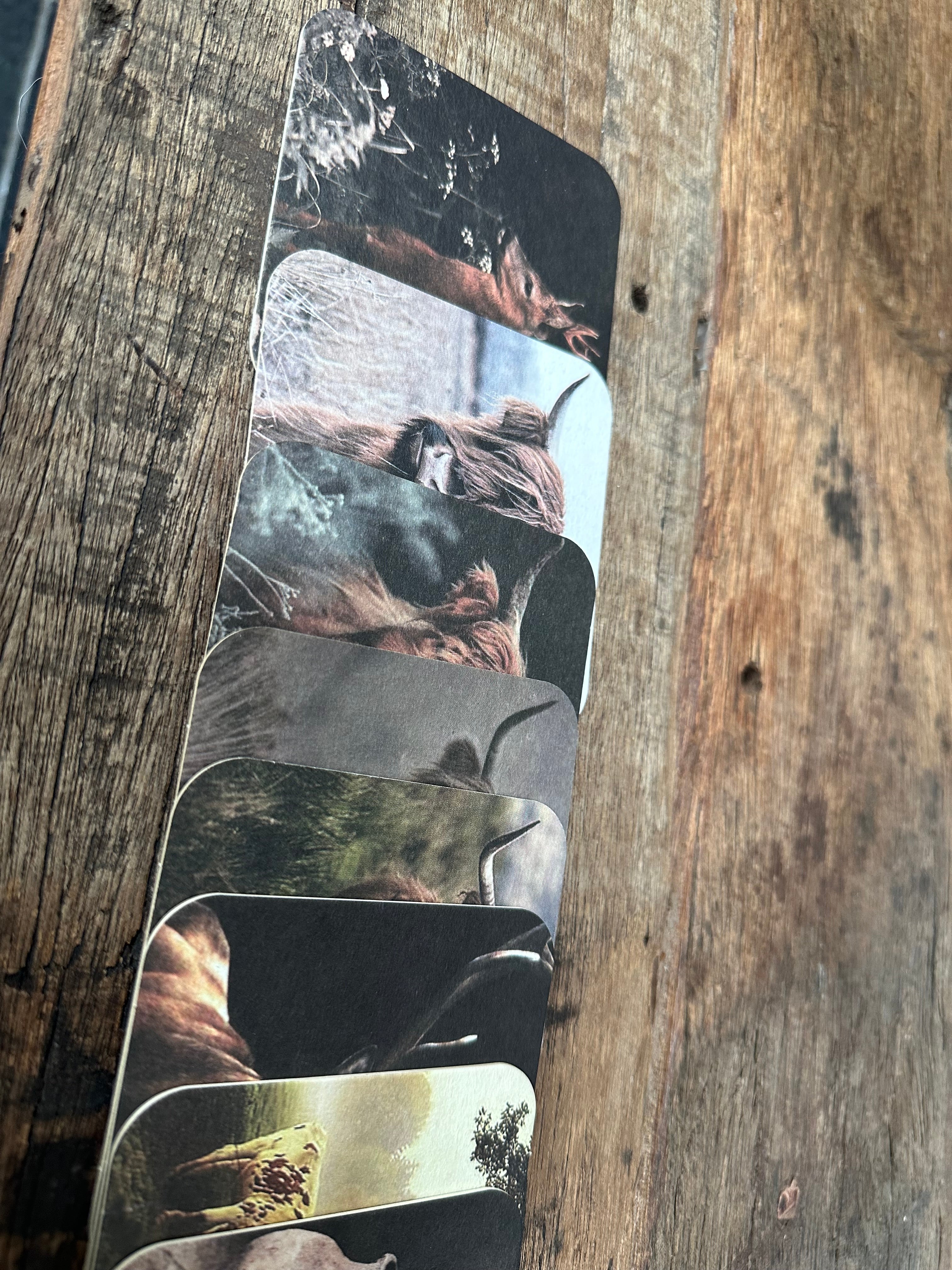 Set onderzetters 20stuks