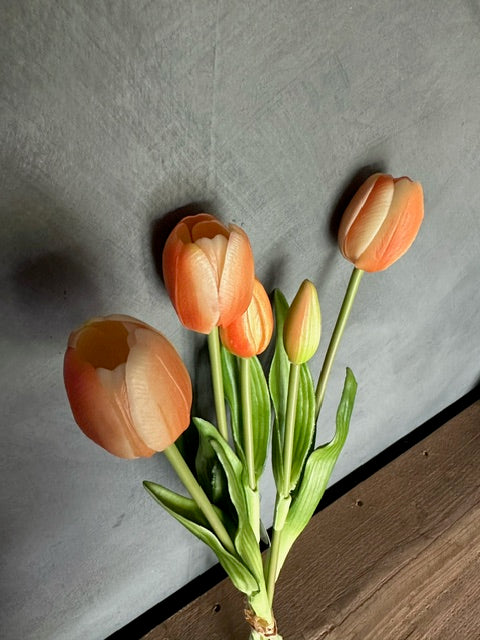 Tulpen 5stks 43cm perzik