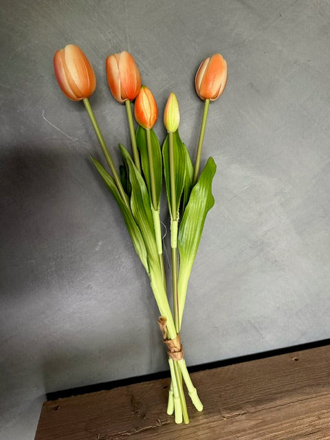 Tulpen 5stks 43cm perzik