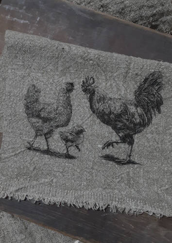 Familie portret haan kip kuiken maat S