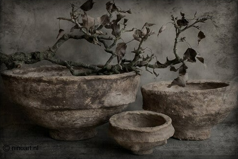 Spatscherm Lichte pot met takken — 60x80cm
