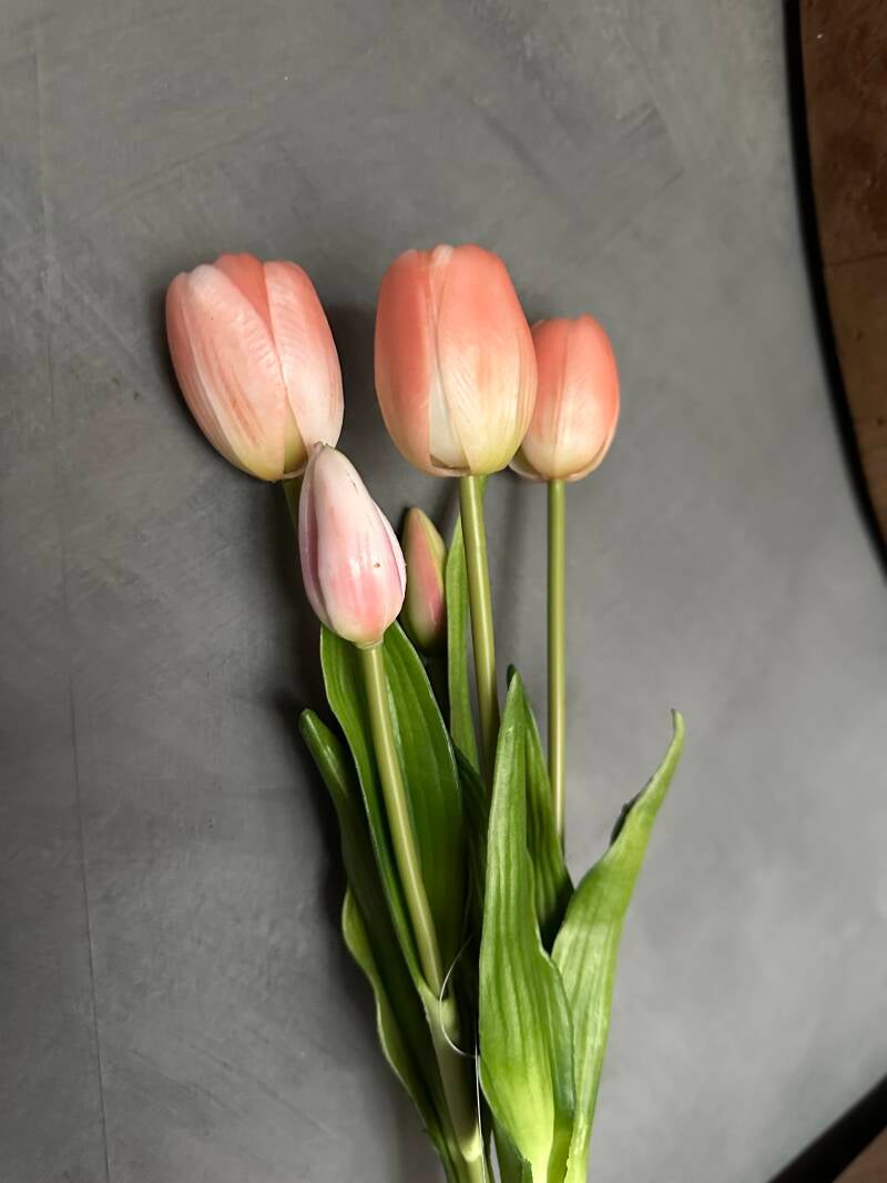 Tulp 5stks roze 43cm