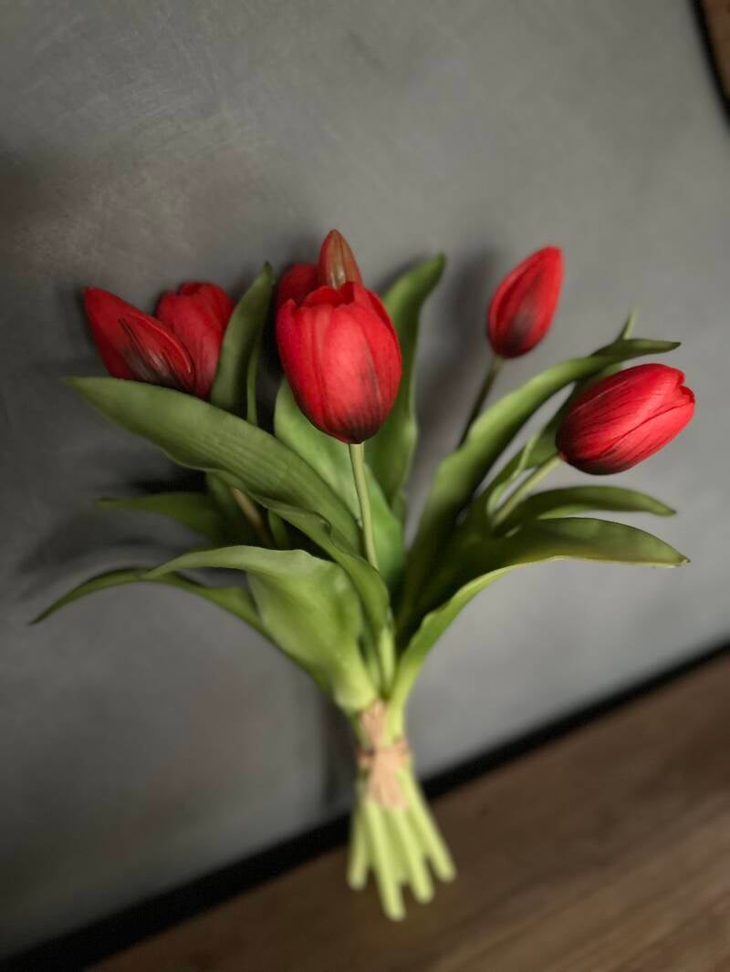 Tulpen Rembrandt Ruby Red 7stks 30cm