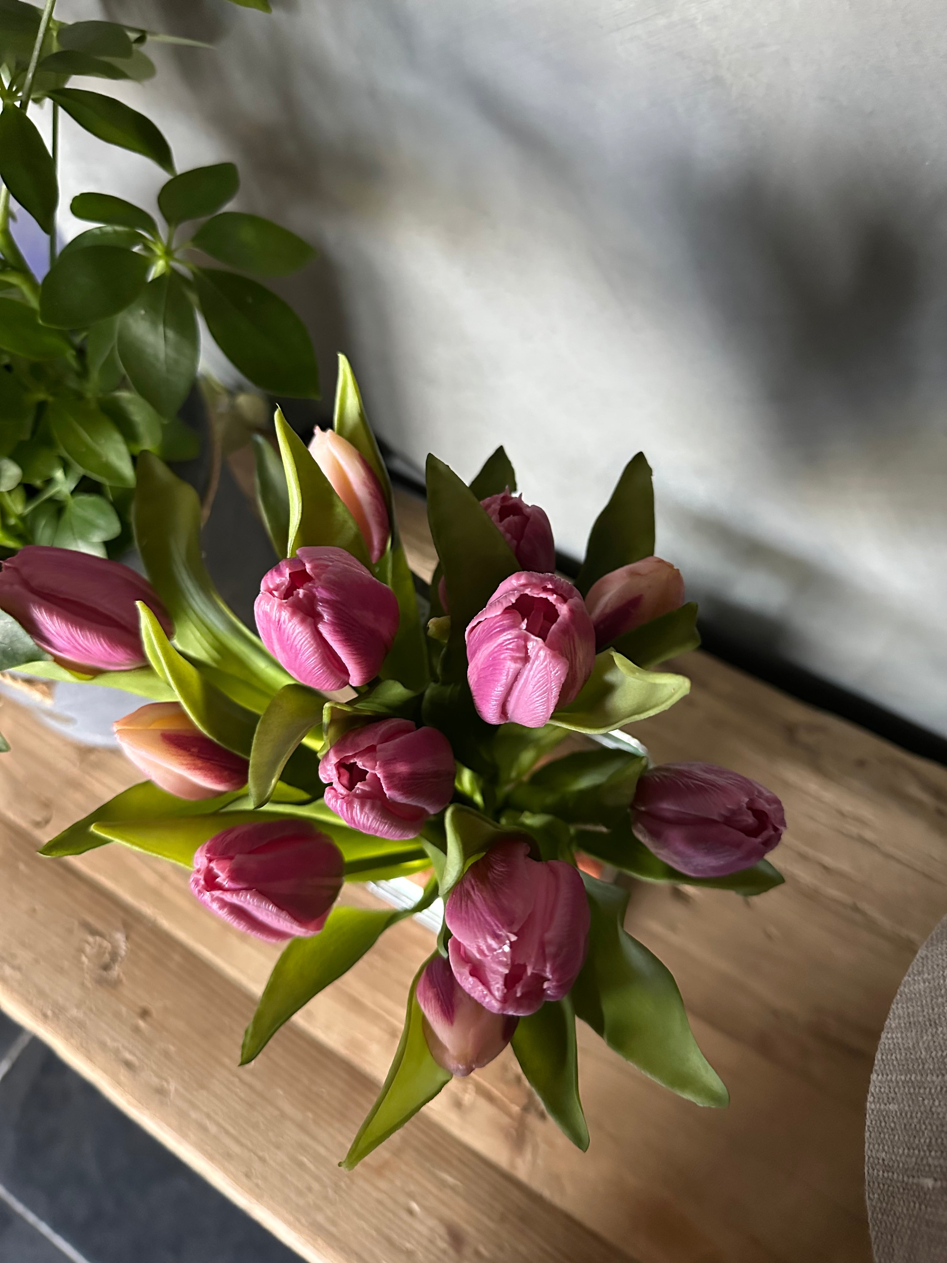 Tulpen met knolletje set van 12 Paars