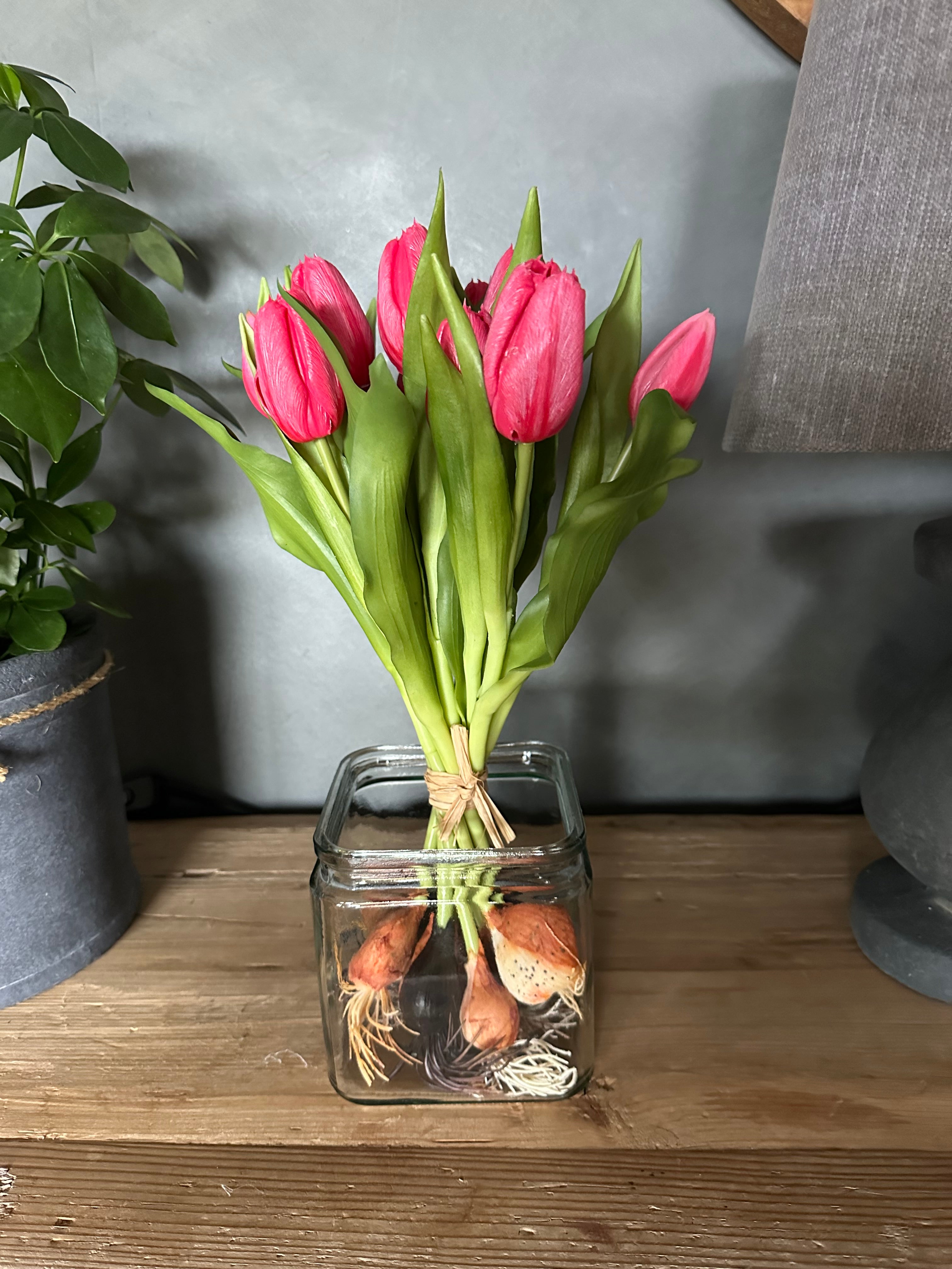 Tulpen met knolletje set van 12 Roze