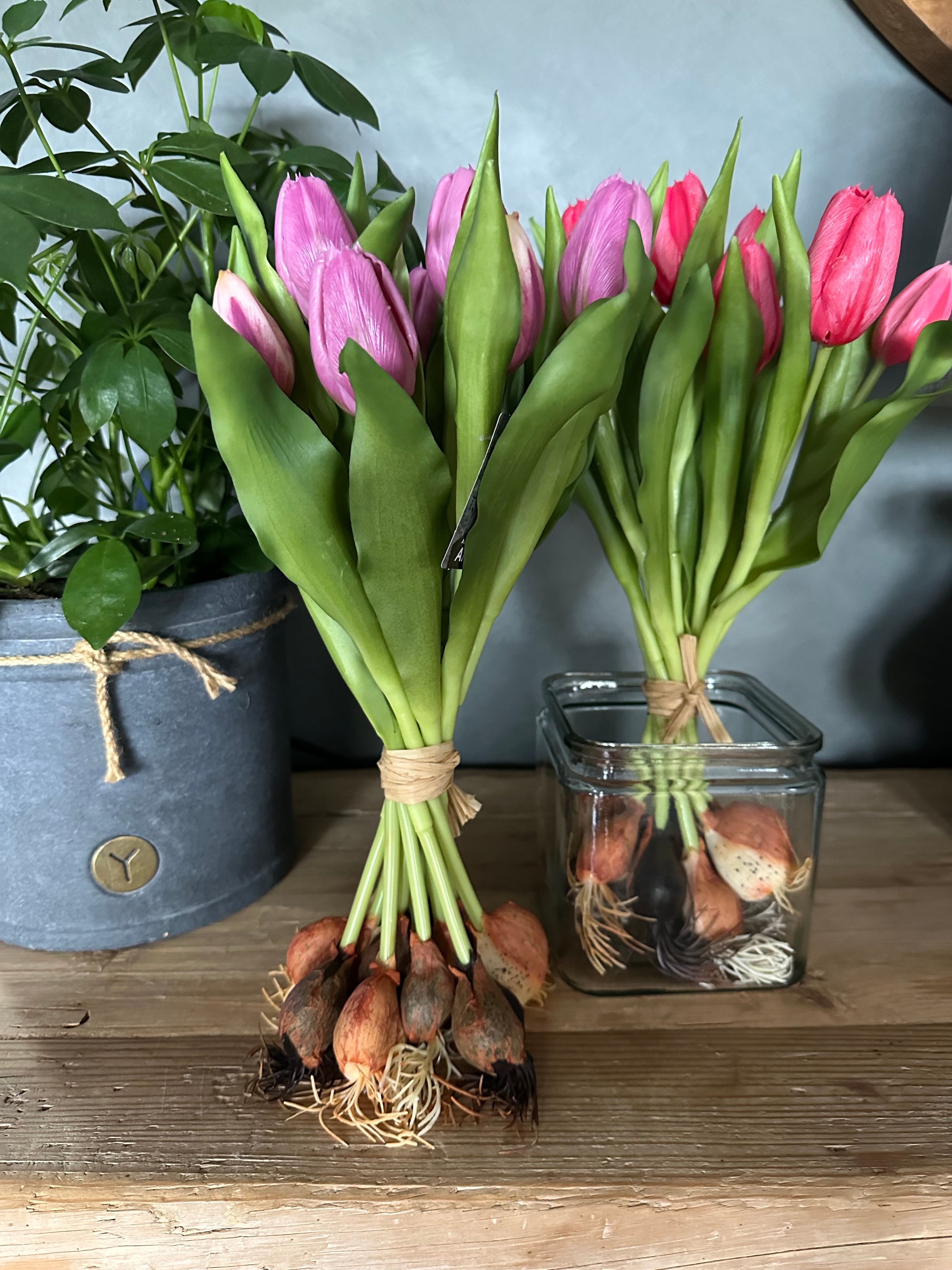 Tulpen met knolletje set van 12 Paars