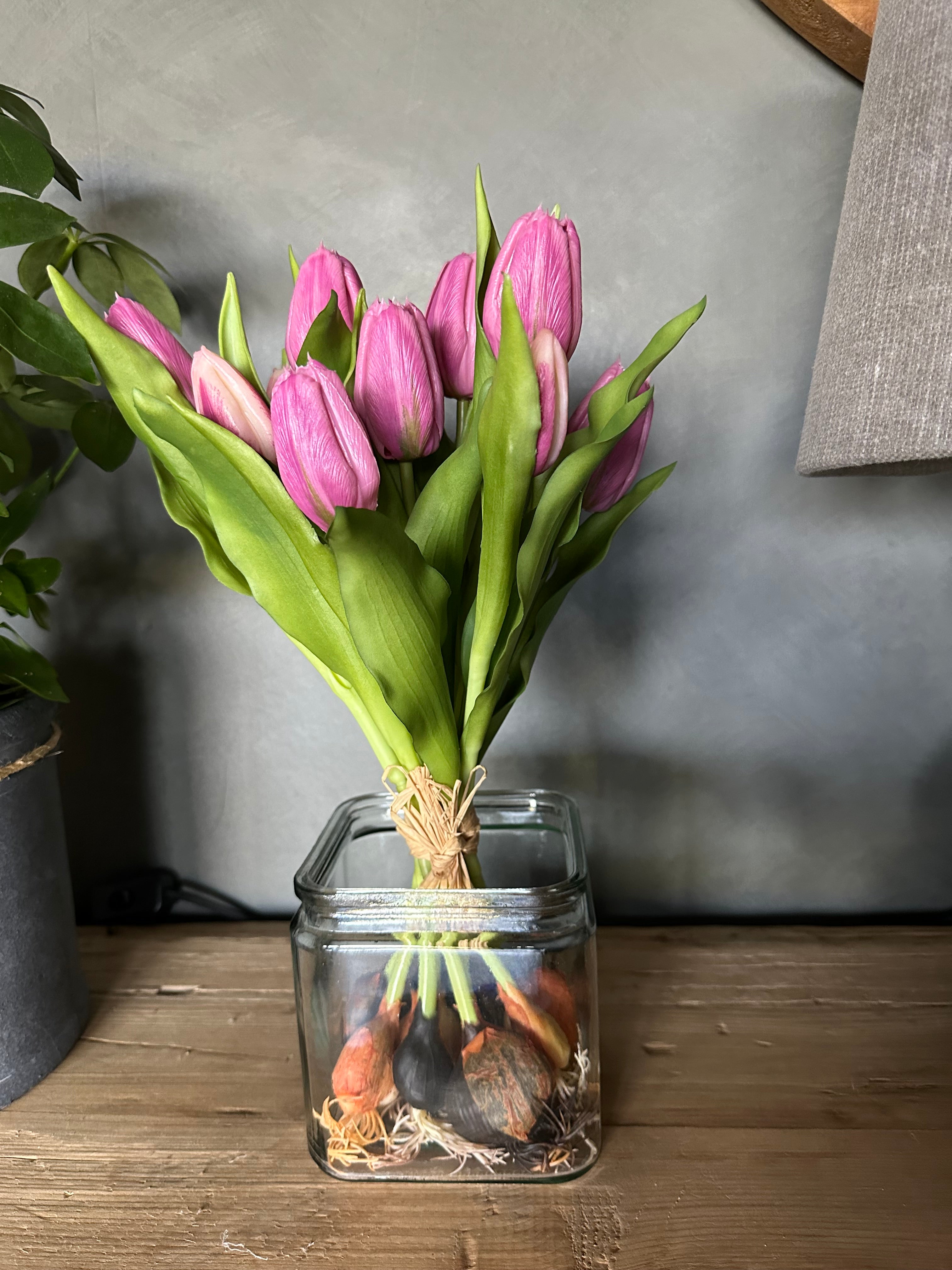 Tulpen met knolletje set van 12 Paars