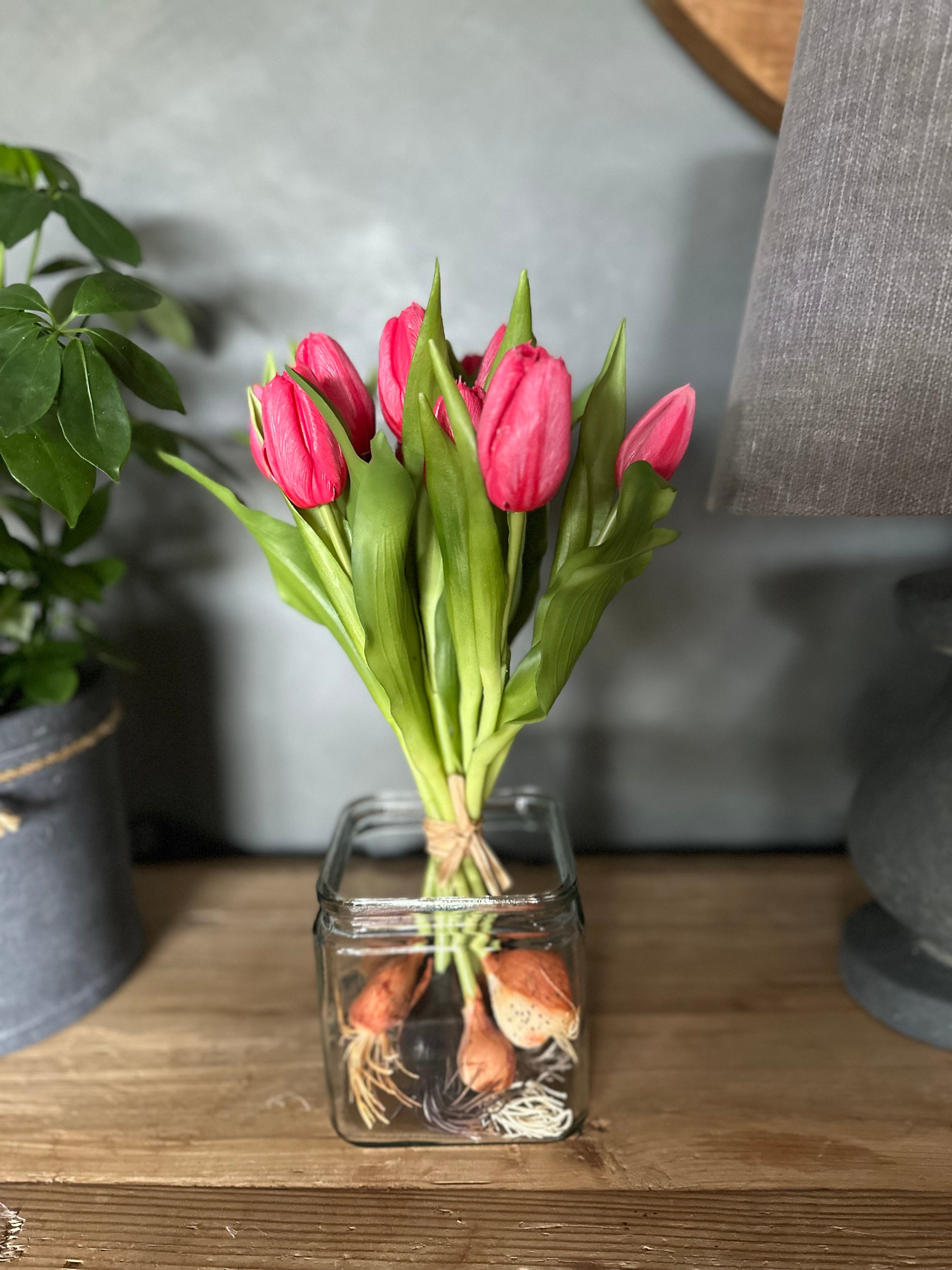 Tulpen met knolletje set van 12 Roze